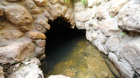 DSC_1958.JPG