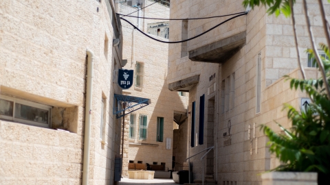 גן גפן-רחוב.jpg